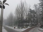 IMG_0809_resize