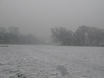 IMG_0810_resize