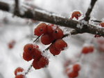 IMG_0829_resize