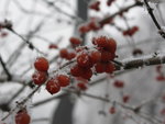 IMG_0830_resize