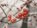 IMG_0831_resize