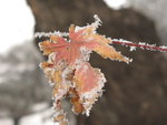 IMG_0833_resize