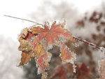 IMG_0834_resize