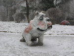 IMG_0835_resize