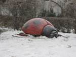 IMG_0836_resize