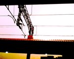scene01