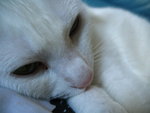 IMG_1892