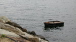 IMG_1289