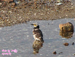 IMG_3606