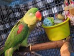 IMG_0319