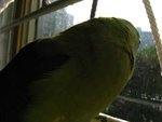 IMG_0391