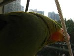 IMG_0392