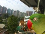 IMG_0396