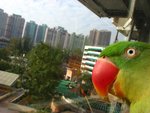 IMG_0397