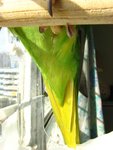 IMG_0400