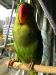 IMG_0401