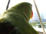 IMG_0403