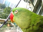 IMG_0404