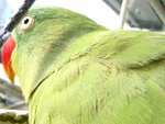 IMG_0405
