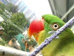 IMG_0406