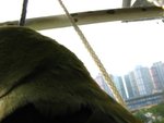 IMG_0409