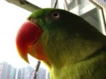 IMG_0410