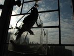 IMG_0440