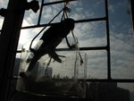 IMG_0442