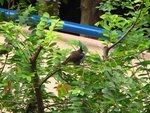 IMG_0291
