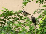 IMG_0302