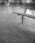 16062005