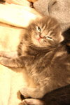 IMG_8921 resized