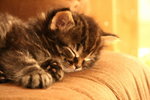 IMG_9300 resized