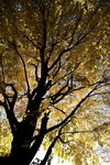 IMG_8201 resized