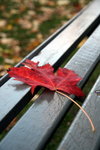 IMG_8277 resized