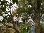 DSC00030