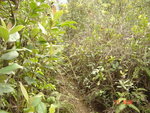 DSC00033