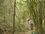 DSC00039
