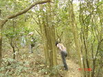 DSC00040