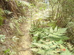 DSC00053