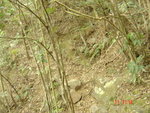 DSC00069