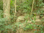 DSC00108