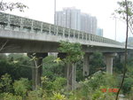 DSC00001