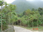 DSC00004