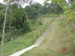 DSC00005
