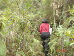 DSC00012
