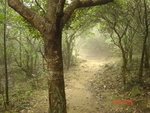 DSC00049