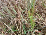 DSC00055