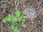 DSC00057
