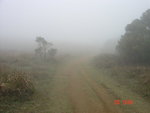 DSC00058